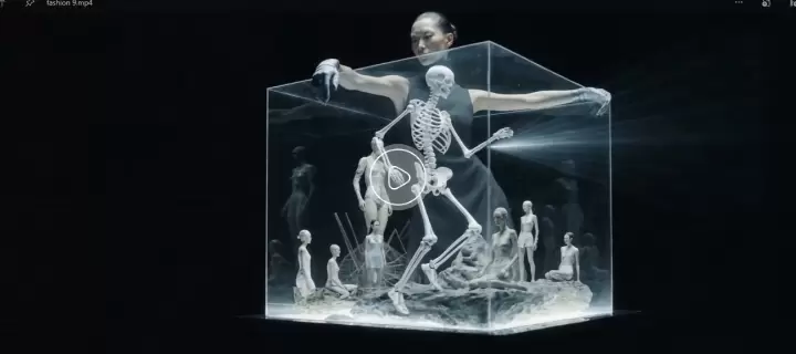 Skeletons in Glass