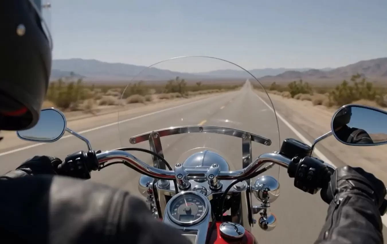 HARLEY-DAVIDSON